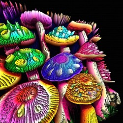 Mushroom Digital Art